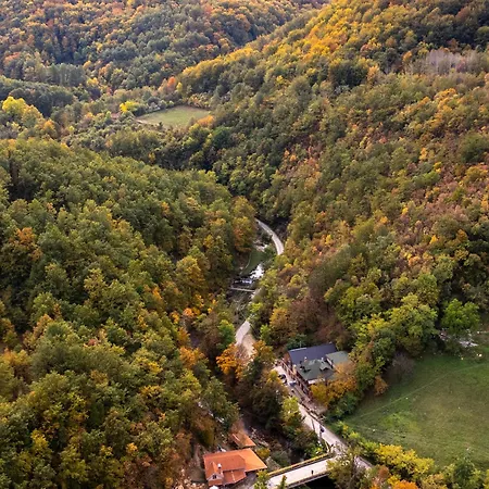 Lisine Lepo Mesto & 3*