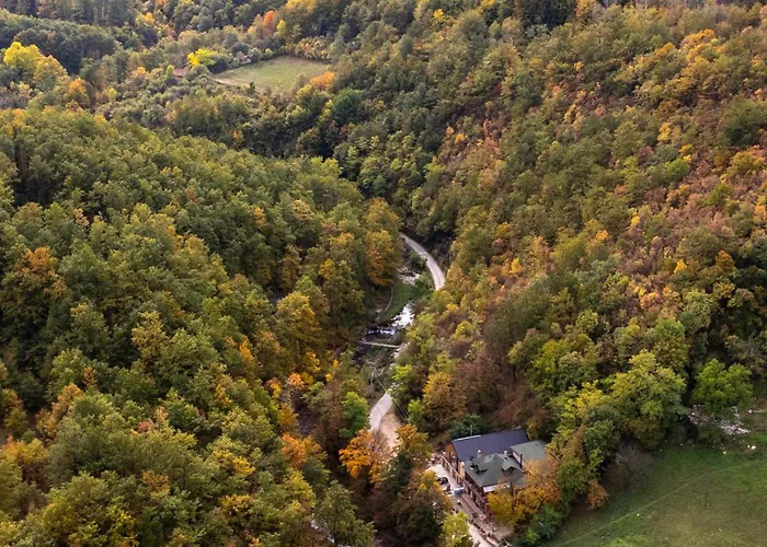 Lisine Lepo Mesto & 3*