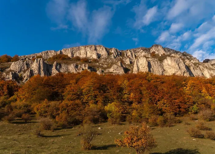 Lisine Lepo Mesto & 3*